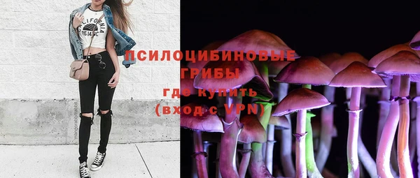 соль ск Балахна