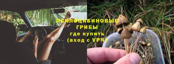 стафф Баксан